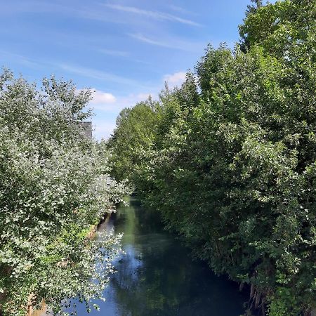 Pensjonat Le Domaine Des Anges Wavrans-sur-l'Aa Zewnętrze zdjęcie