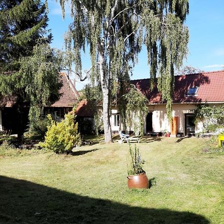 Pensjonat Le Domaine Des Anges Wavrans-sur-l'Aa Zewnętrze zdjęcie