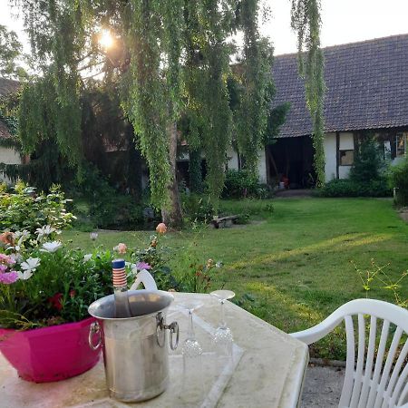 Pensjonat Le Domaine Des Anges Wavrans-sur-l'Aa Zewnętrze zdjęcie