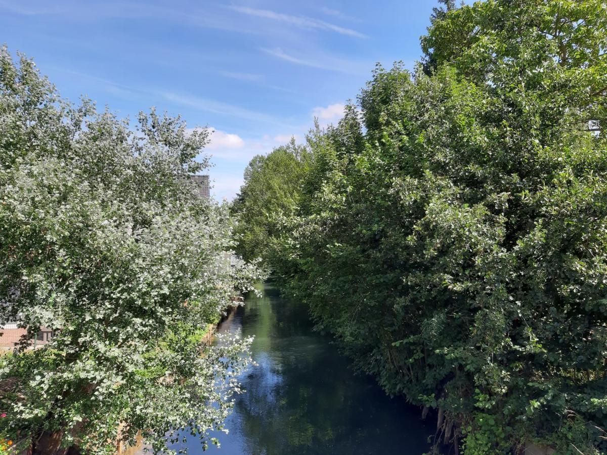 Pensjonat Le Domaine Des Anges Wavrans-sur-l'Aa Zewnętrze zdjęcie