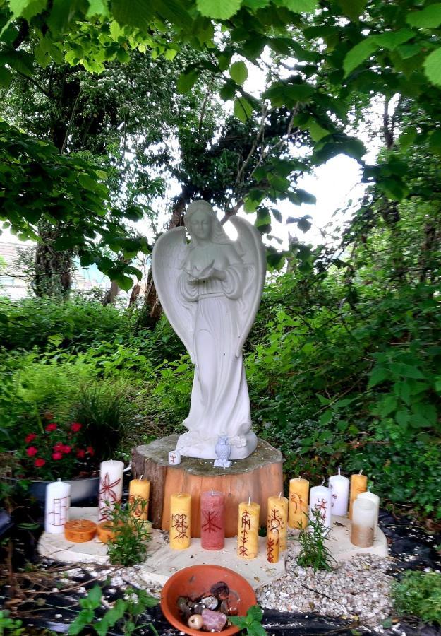 Pensjonat Le Domaine Des Anges Wavrans-sur-l'Aa Zewnętrze zdjęcie