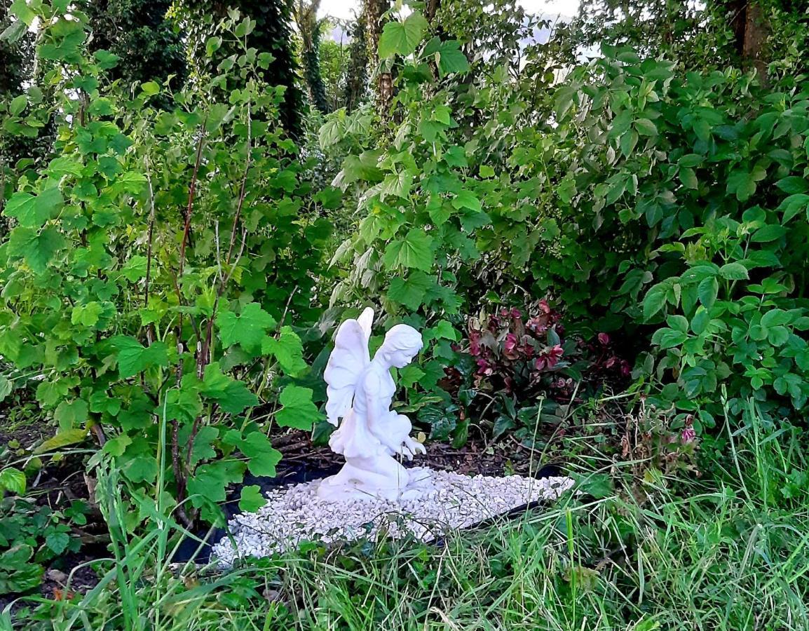 Pensjonat Le Domaine Des Anges Wavrans-sur-l'Aa Zewnętrze zdjęcie