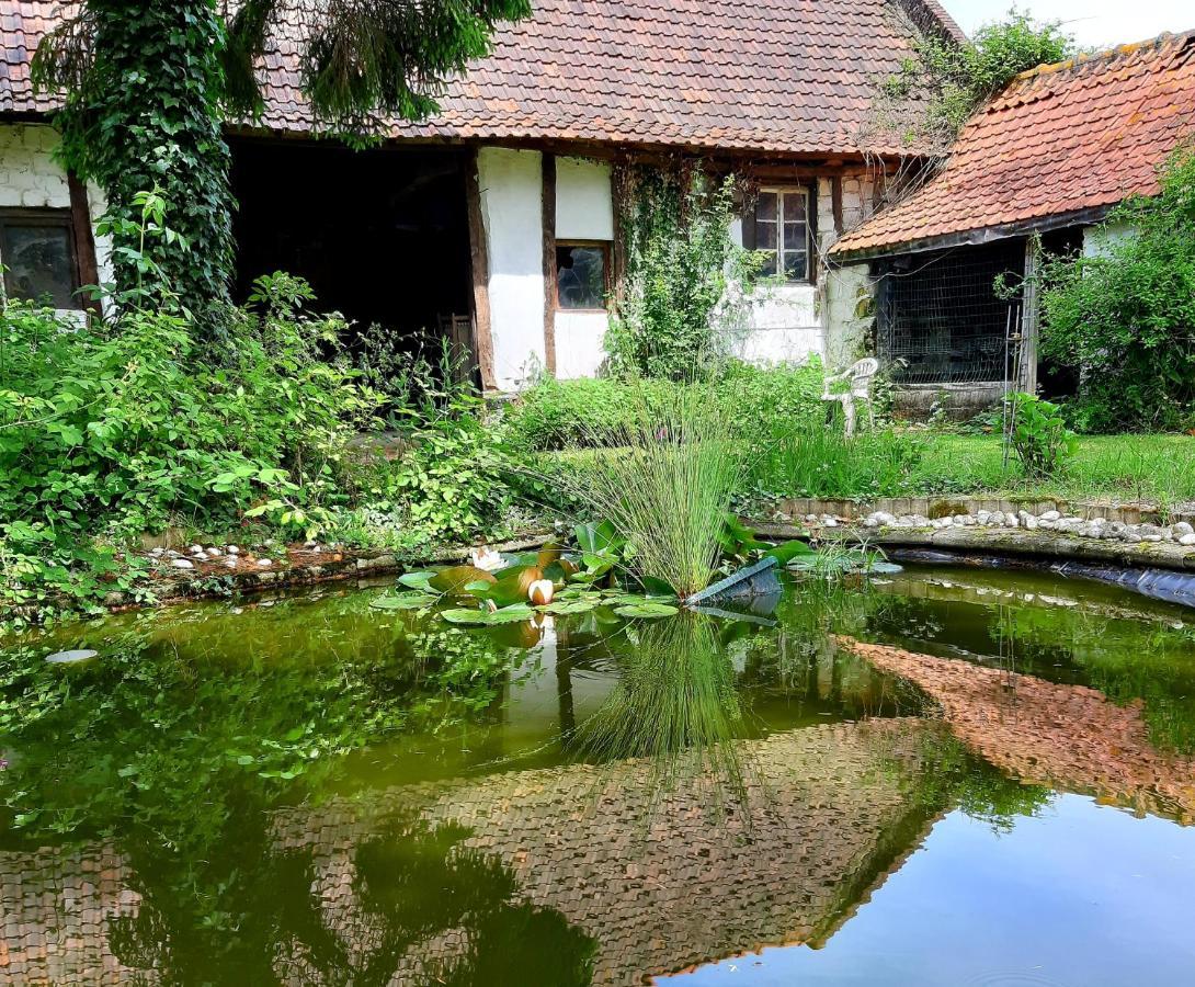 Pensjonat Le Domaine Des Anges Wavrans-sur-l'Aa Zewnętrze zdjęcie