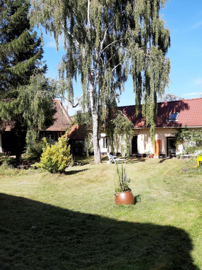 Pensjonat Le Domaine Des Anges Wavrans-sur-l'Aa Zewnętrze zdjęcie